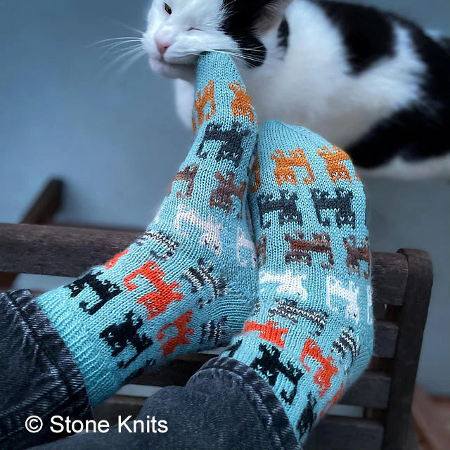 Ancient Arts Yarns - Herding Cats Sock Kit