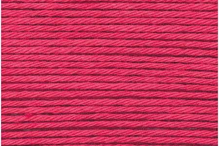 013 - Raspberry