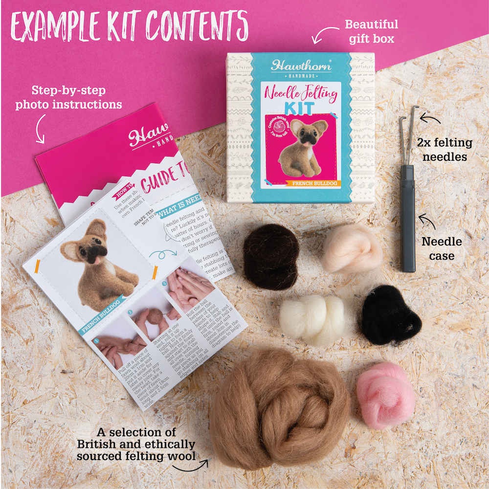 Stegosaurus Mini Needle Felting Kit | Beginner Craft Kit