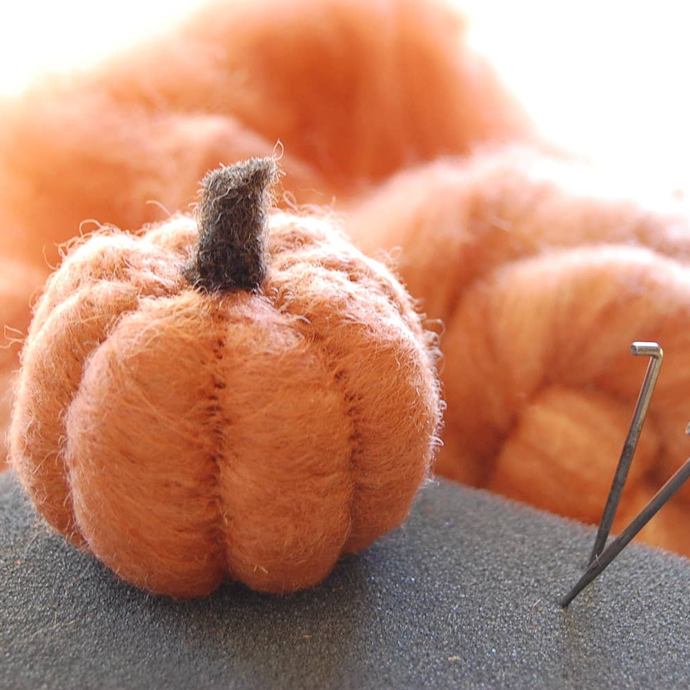Pumpkin Needle Felting Kit