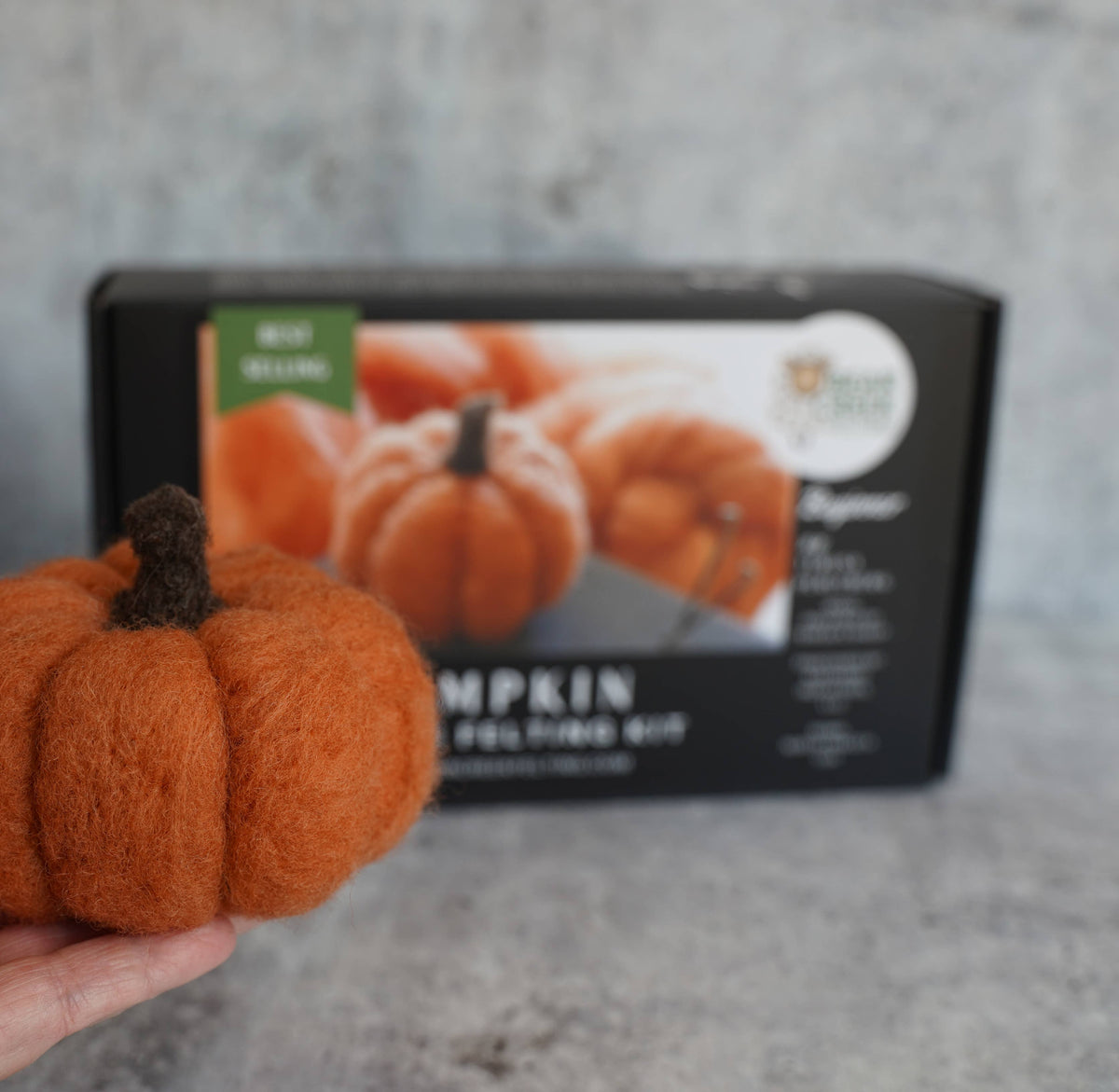 Pumpkin Needle Felting Kit